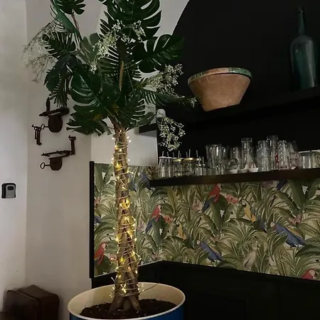 Panzió Minihomecatania 3*