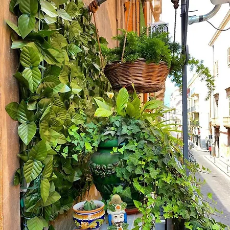 Minihomecatania 3* Catania