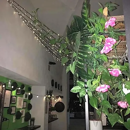 Bed and Breakfast Minihomecatania 3*